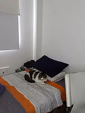 Nikolth 4 online show from 4, 2, 2026