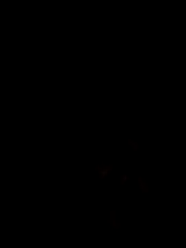 Hoa-haiduong online show from 15, 2, 2026