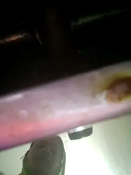 khushi rawat online show from 12, 2, 2026