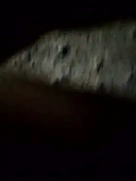 Snapshot of crazyxy12 chatting on 8, 2, 2026 crazyxy12 online show from 8, 2, 2026