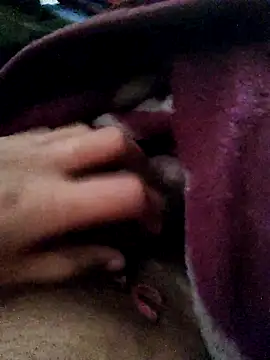 Snapshot of crazyxy12 chatting on 12, 2, 2026 crazyxy12 online show from 12, 2, 2026