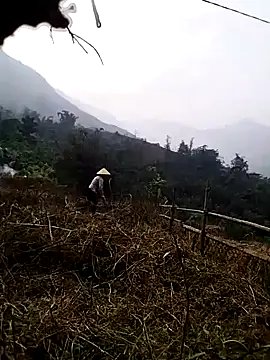 Tina-beo online show from 27, 3, 2026