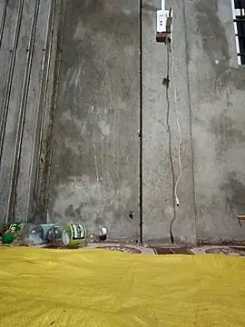 Ami-su online show from 14, 4, 2026