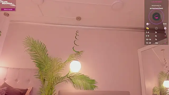 Bonnie andclyde online show from 25, 3, 2026