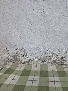 Mey mey2k3 online show from 18, 3, 2026