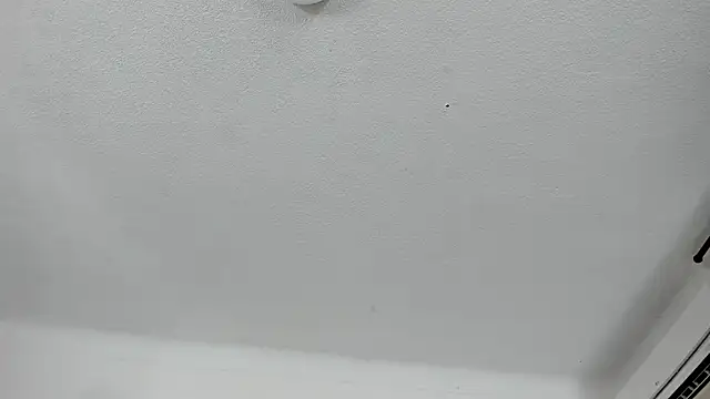 Snapshot of Nico_Hillx chatting on 13, 2, 2026 Nico Hillx online show from 13, 2, 2026