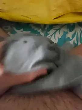 birzevkmeselesi online show from 10, 2, 2026