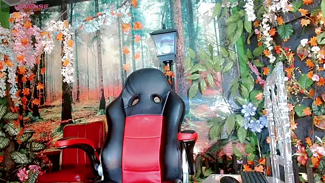 stiffy lopez online show from 19, 2, 2026