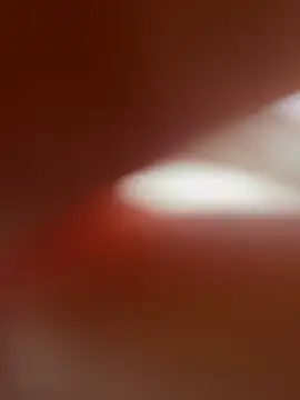 zo-19cm online show from 27, 2, 2026