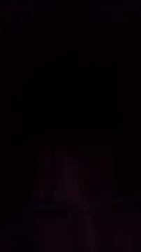 TululipuZ online show from 28, 2, 2026