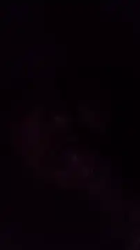 TululipuZ online show from 29, 3, 2026