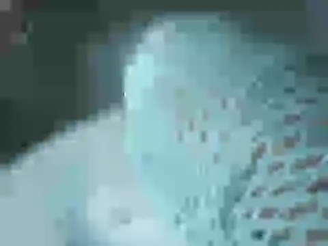 Skyrider95 online show from 18, 3, 2026