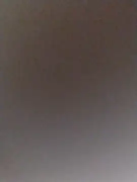 conejitalia online show from 7, 3, 2026