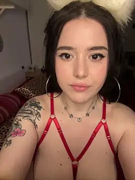 Venustrapp online show from 14, 2, 2026