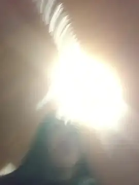 Snapshot of MeelFox chatting on 3, 6, 2026 MeelFox online show from 3, 6, 2026