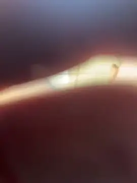 Kylxxx8 online show from 29, 3, 2026