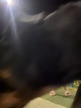 Snapshot of Arya___ chatting on 19, 2, 2026 Arya online show from 19, 2, 2026