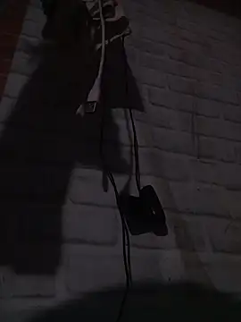 ravimandal online show from 14, 4, 2026