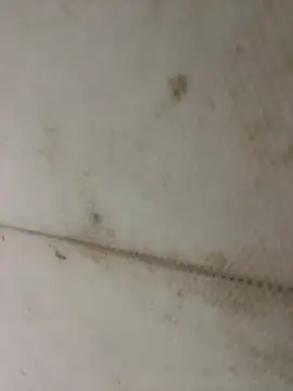 Miu Xinh online show from 11, 4, 2026