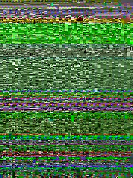 Adriputinha online show from 9, 5, 2026