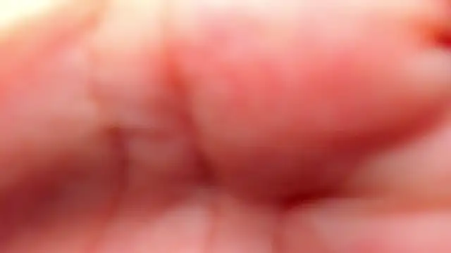 RinaFox   online show from 21, 2, 2026