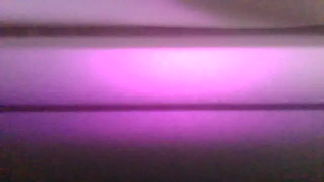 Snapshot of kaimsdecadus555 chatting on 12, 2, 2026 kaimsdecadus555 online show from 12, 2, 2026