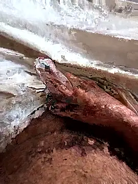 manish 8826 online show from 6, 4, 2026