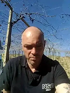 circott online show from 22, 2, 2026