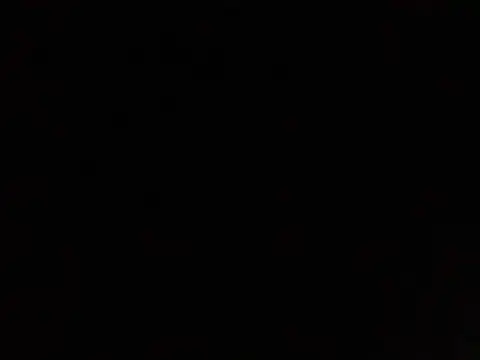 lavelle26 online show from 11, 2, 2026