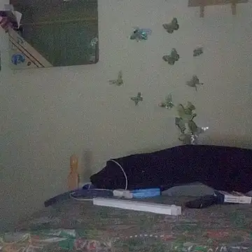 Porcellini2269 online show from 16, 4, 2026