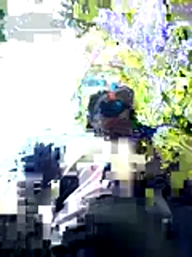 Snapshot of ShadowLove85 chatting on 29, 5, 2026 ShadowLove85 online show from 29, 5, 2026