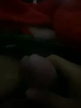 raid019 online show from 14, 2, 2026