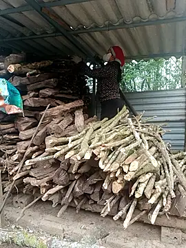 nelina 12345 online show from 15, 4, 2026