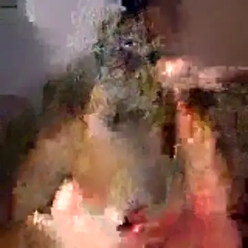 Snapshot of tubellaflor chatting on 1, 3, 2026 tubellaflor online show from 1, 3, 2026