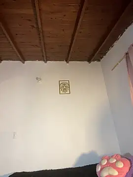 baileyadamms online show from 21, 4, 2026