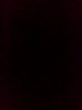 falcon2589 online show from 24, 2, 2026