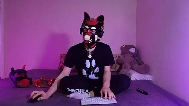 K9 GoodBoy online show from 27, 3, 2026