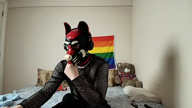 K9 GoodBoy online show from 9, 4, 2026