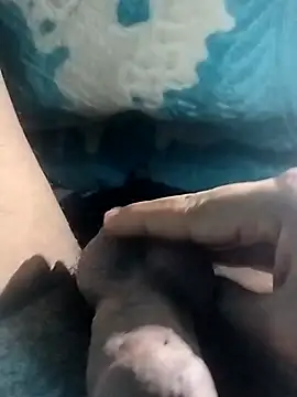 taherDzzf online show from 14, 4, 2026