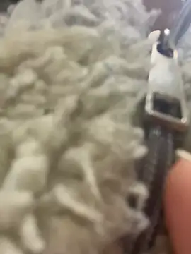 angell cooper8 online show from 22, 3, 2026