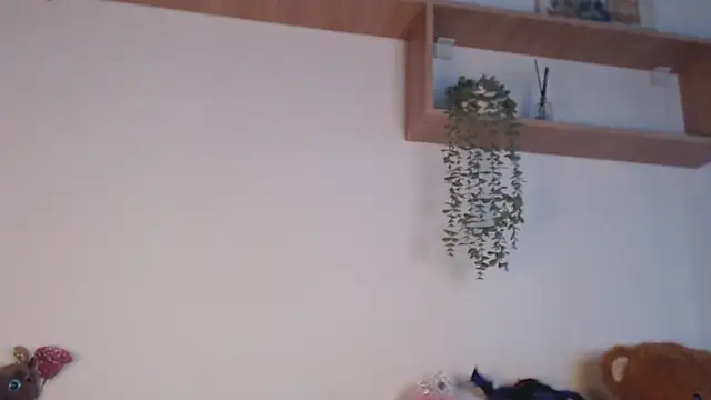 SPICYKC online show from 7, 4, 2026