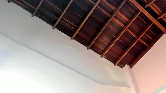 TonyPetrovjs online show from 1, 4, 2026