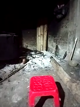 ngocbao11 online show from 1, 3, 2026