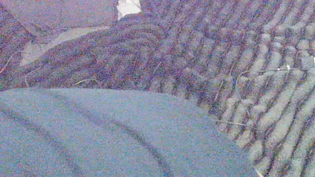 elong007 online show from 1, 4, 2026