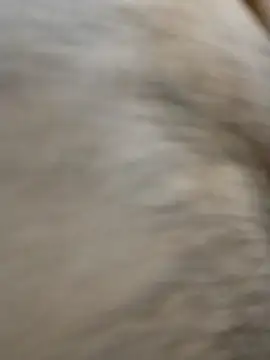 horny boy 45 online show from 23, 4, 2026