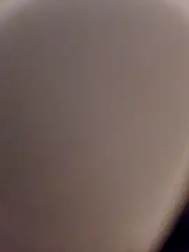 skynct2007 online show from 24, 2, 2026