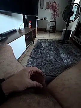 MemorableVector66 online show from 2, 3, 2026