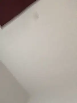 xiaotong2026 online show from 6, 4, 2026