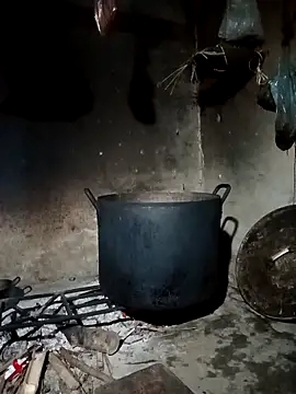 pic8800 online show from 31, 3, 2026