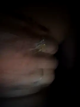 Rashmika Mandana online show from 18, 3, 2026